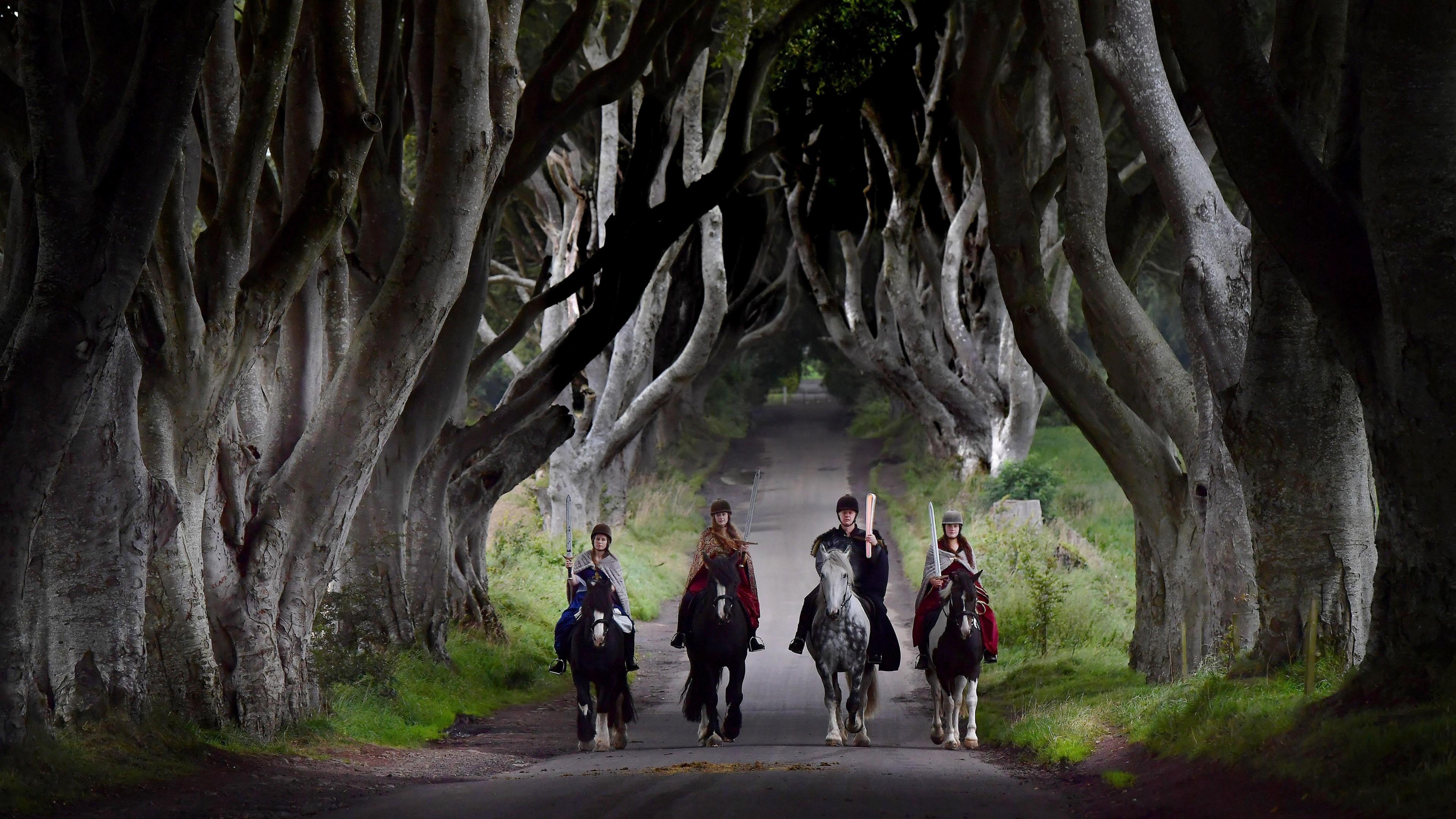 Dark Hedges